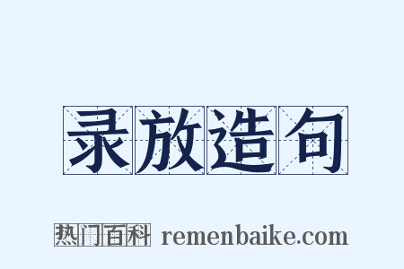 录放造句是什么意思的图片